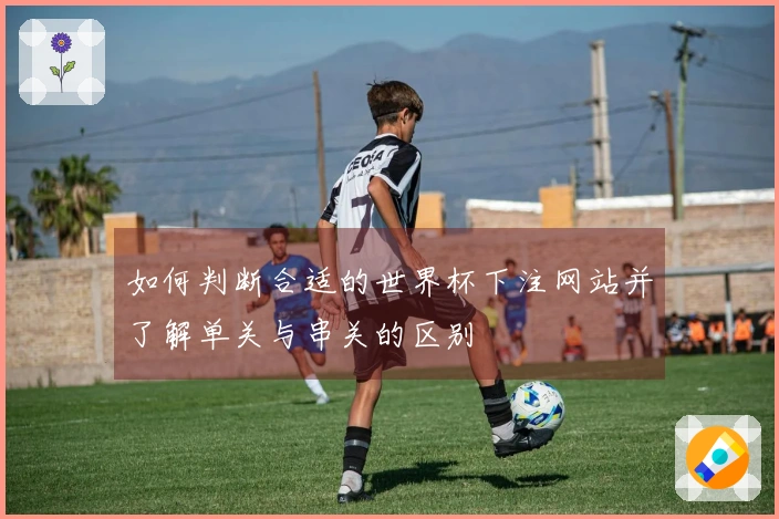 如何判断合适的世界杯下注网站并了解单关与串关的区别