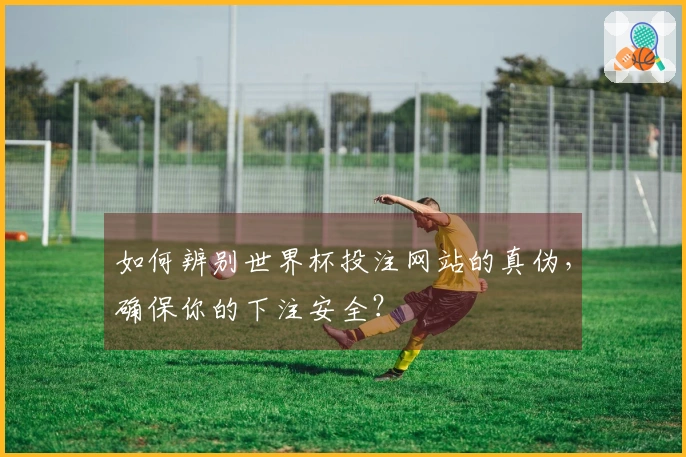 如何辨别世界杯投注网站的真伪，确保你的下注安全？