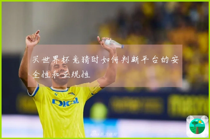 买世界杯竞猜时如何判断平台的安全性和正规性