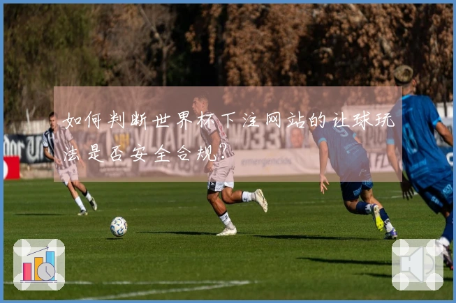 如何判断世界杯下注网站的让球玩法是否安全合规？
