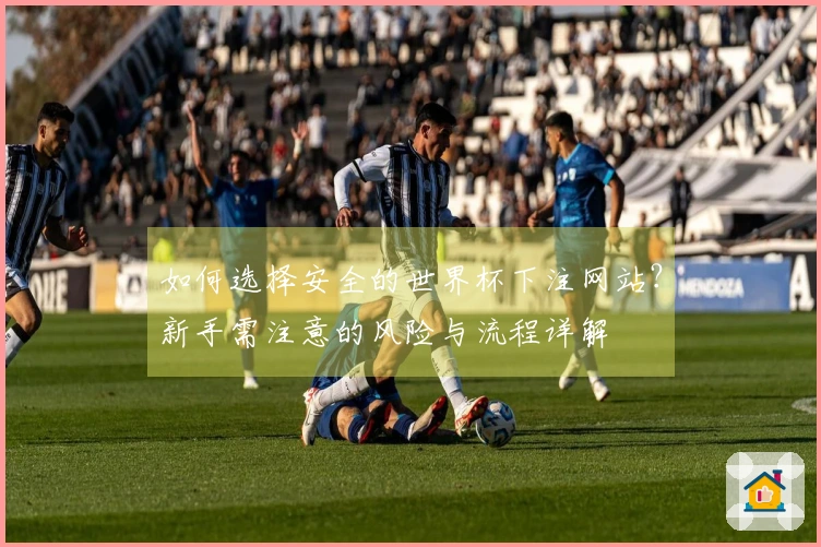 如何选择安全的世界杯下注网站？新手需注意的风险与流程详解