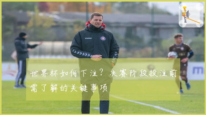世界杯如何下注？决赛阶段投注前需了解的关键事项