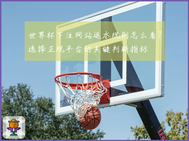 世界杯下注网站返水规则怎么看？选择正规平台的关键判断指标