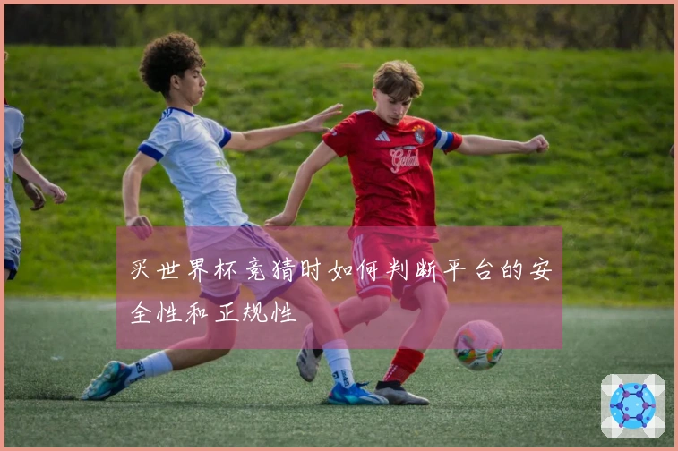 买世界杯竞猜时如何判断平台的安全性和正规性