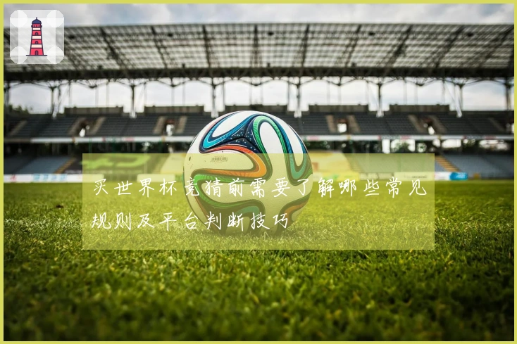 买世界杯竞猜前需要了解哪些常见规则及平台判断技巧
