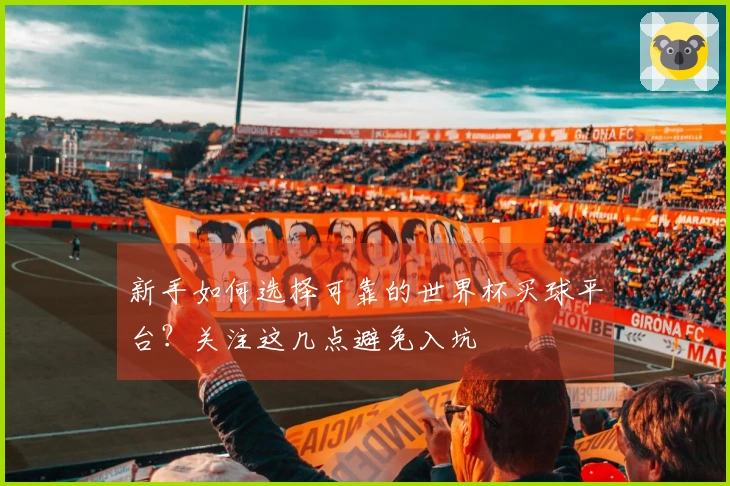 新手如何选择可靠的世界杯买球平台？关注这几点避免入坑