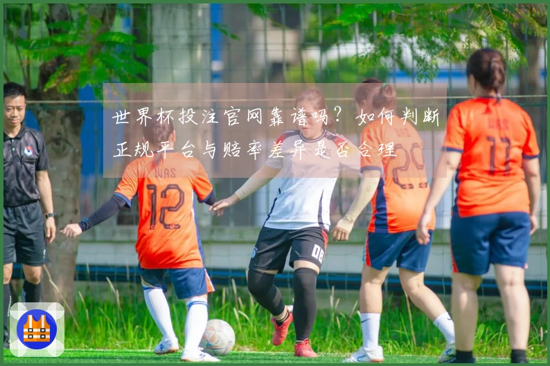 世界杯投注官网靠谱吗？如何判断正规平台与赔率差异是否合理