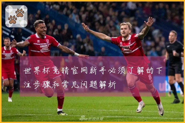 世界杯竞猜官网新手必须了解的下注步骤和常见问题解析