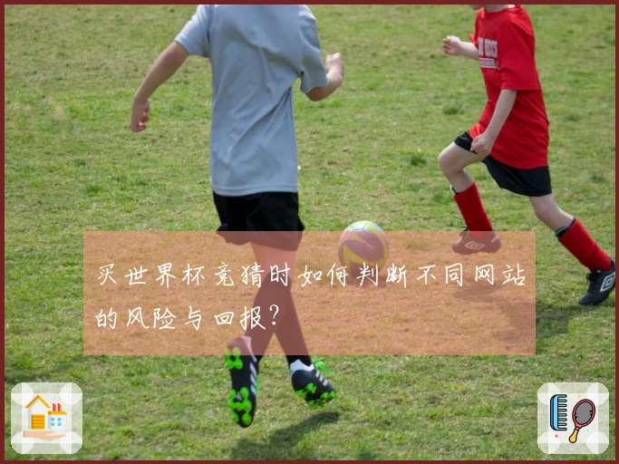 买世界杯竞猜时如何判断不同网站的风险与回报？