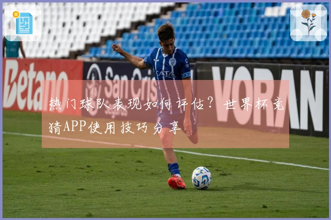 热门球队表现如何评估？世界杯竞猜APP使用技巧分享