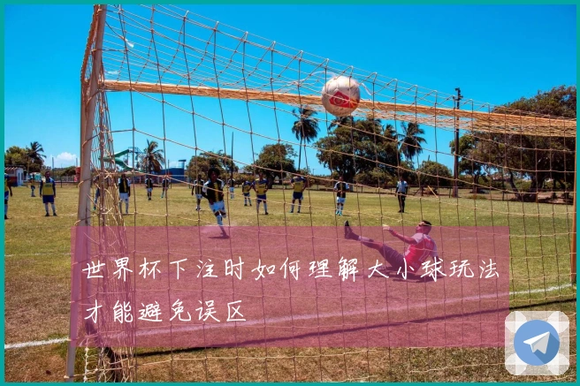 世界杯下注时如何理解大小球玩法才能避免误区