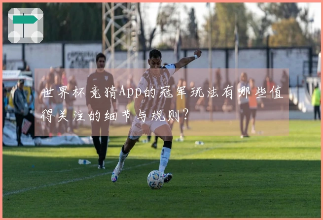世界杯竞猜App的冠军玩法有哪些值得关注的细节与规则？
