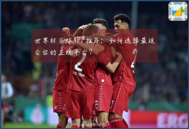 世界杯买球APP推荐：如何选择最适合你的正规平台？