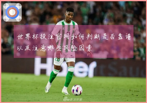 世界杯投注官网如何判断是否靠谱以及注意哪些风险因素
