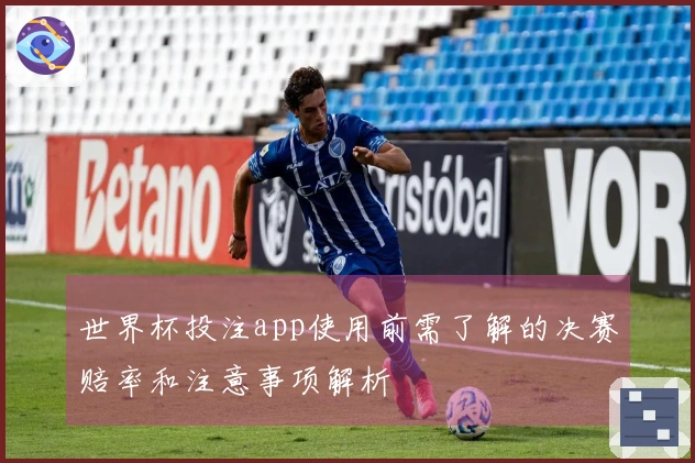世界杯投注app使用前需了解的决赛赔率和注意事项解析