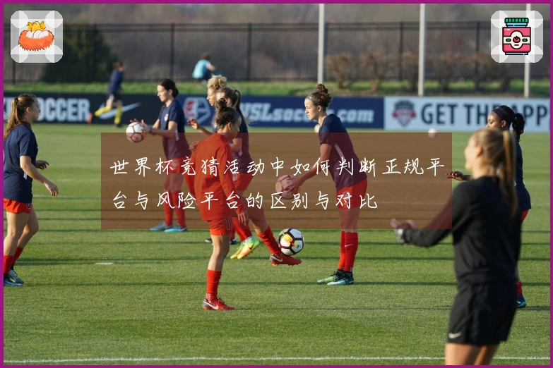 世界杯竞猜活动中如何判断正规平台与风险平台的区别与对比