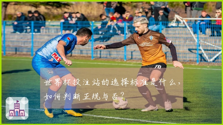 世界杯投注站的选择标准是什么，如何判断正规与否？