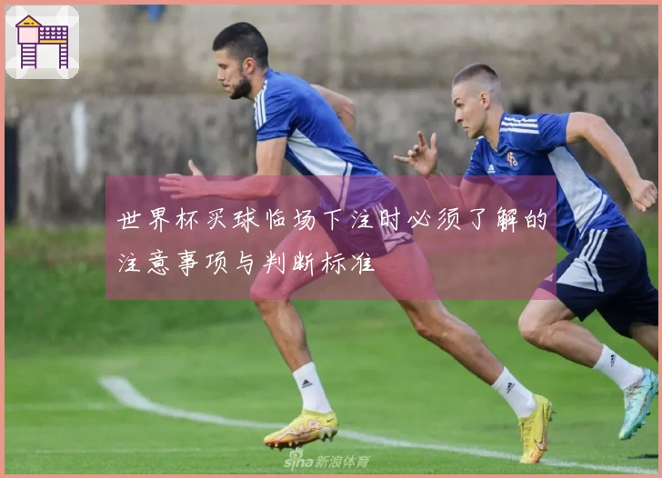 世界杯买球临场下注时必须了解的注意事项与判断标准