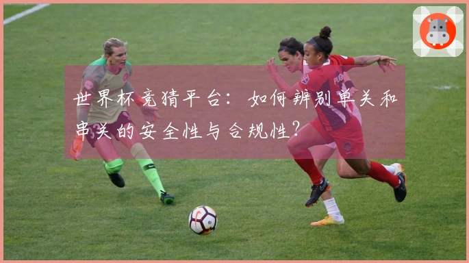 世界杯竞猜平台：如何辨别单关和串关的安全性与合规性？