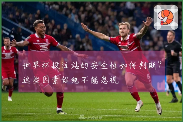 世界杯投注站的安全性如何判断？这些因素你绝不能忽视