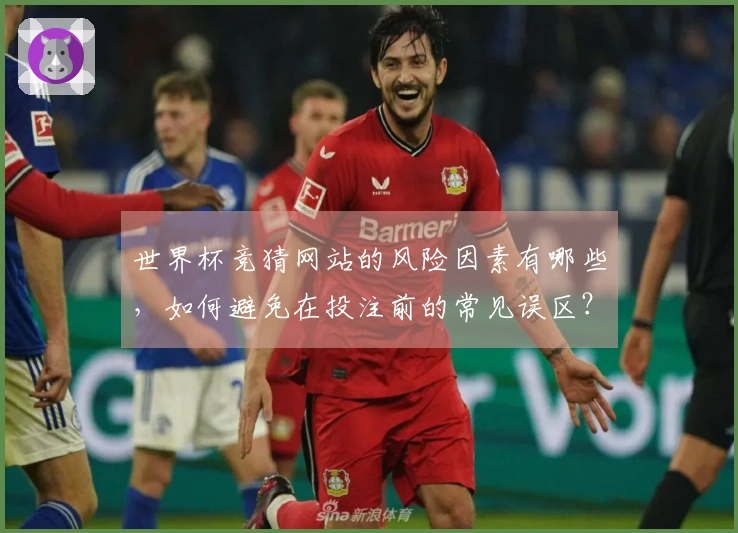 世界杯竞猜网站的风险因素有哪些，如何避免在投注前的常见误区？