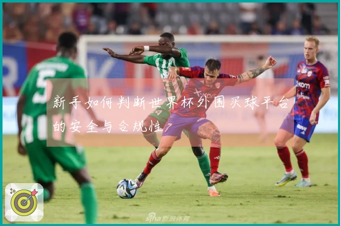新手如何判断世界杯外围买球平台的安全与合规性