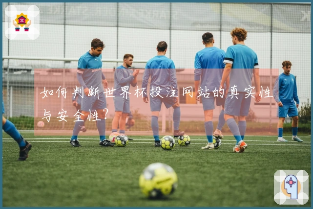 如何判断世界杯投注网站的真实性与安全性？
