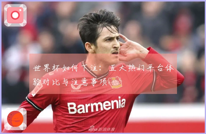 世界杯如何下注：五大热门平台体验对比与注意事项