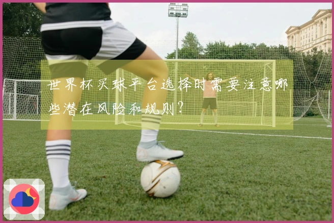 世界杯买球平台选择时需要注意哪些潜在风险和规则？