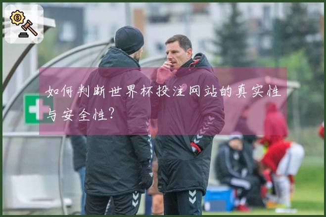 如何判断世界杯投注网站的真实性与安全性？