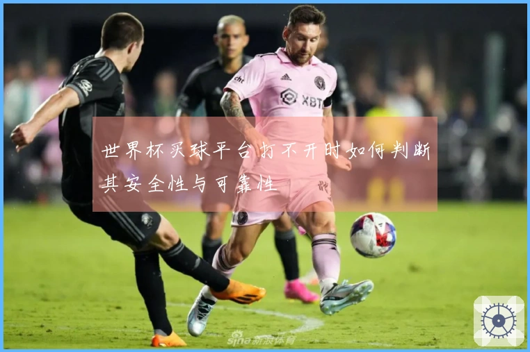 世界杯买球平台打不开时如何判断其安全性与可靠性
