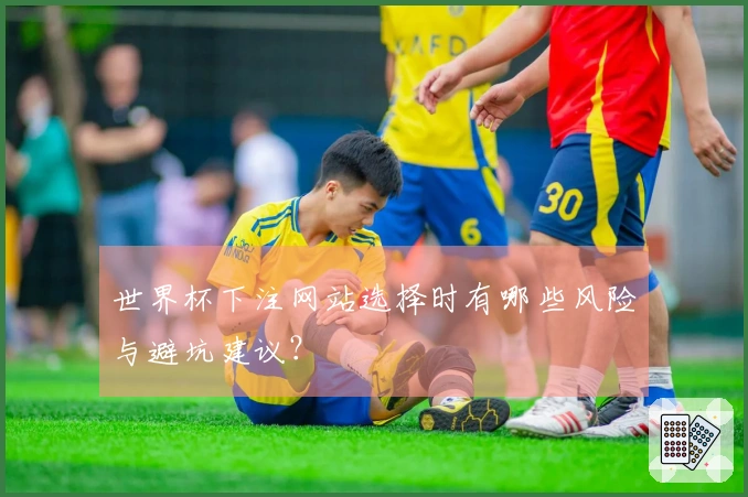 世界杯下注网站选择时有哪些风险与避坑建议？