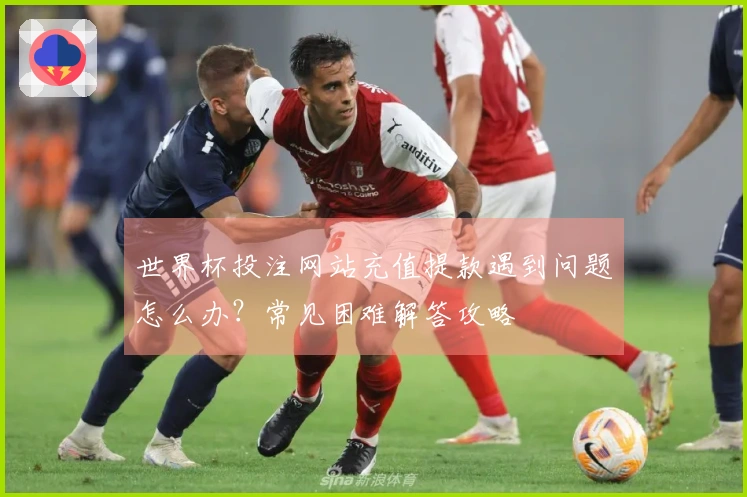 世界杯投注网站充值提款遇到问题怎么办？常见困难解答攻略