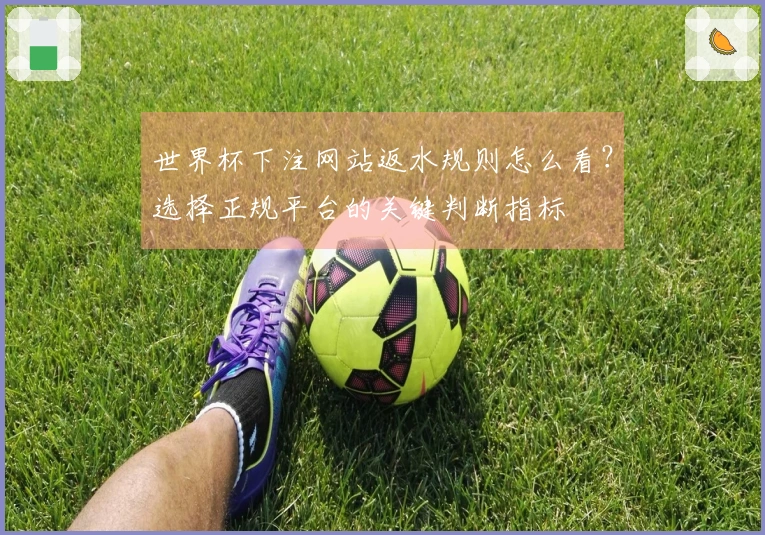 世界杯下注网站返水规则怎么看？选择正规平台的关键判断指标