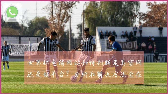 世界杯竞猜网站如何判断是真官网还是假平台？分析和解决方法全在这里