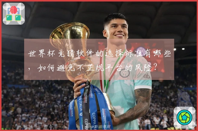 世界杯竞猜软件的选择标准有哪些，如何避免不正规平台的风险？