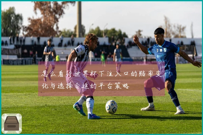 怎么看待世界杯下注入口的赔率变化与选择合适的平台策略