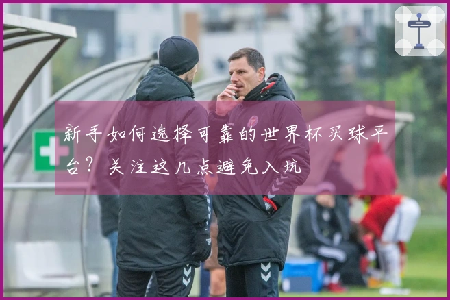 新手如何选择可靠的世界杯买球平台？关注这几点避免入坑